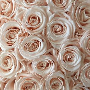 Meet your Posher, Camila